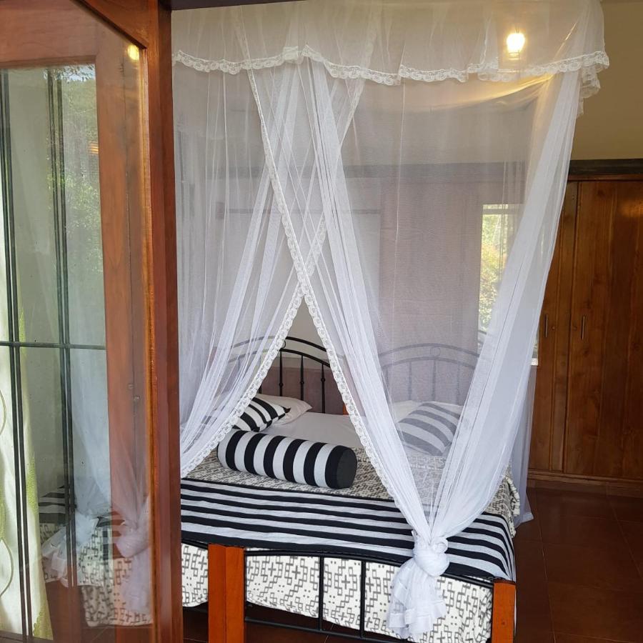 Ella Floating View Bed & Breakfast エクステリア 写真